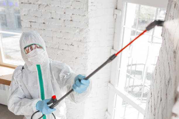 Park View, IA Mold Remediation Company